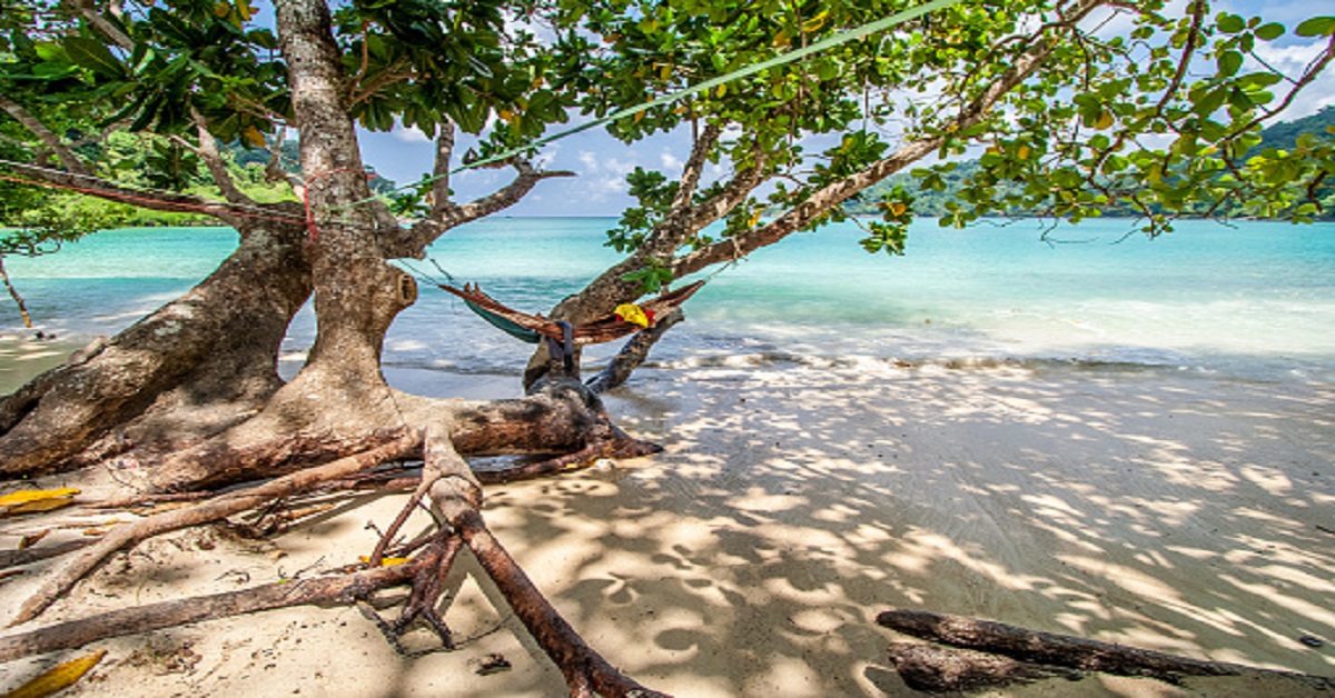 Dhahte Vishvas Class 10 Hindi Solutions Notes