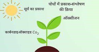 prakash sansleshan class 10th science