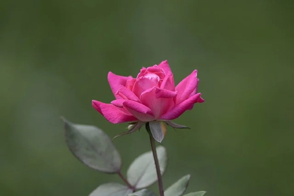 Prakritik Sansadhan Class 9th Science Notes in Hindi